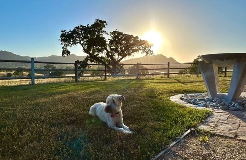 Arroyo Grande House | Charming 2 Bedroom Retreat in Arroyo Grande with Spa