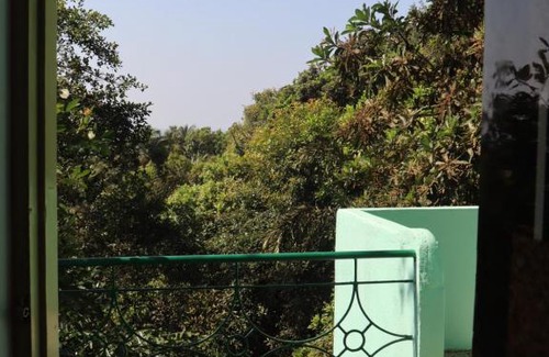Arambol Hostel | Discover This Is It Jungle Maze Hostel with Ocean Views