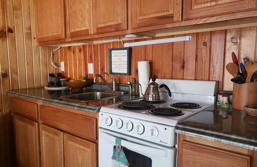 Cascade-Chipita Park Cabin | Ideal Mountain Cabin Retreat with Pool and Kitchen Access