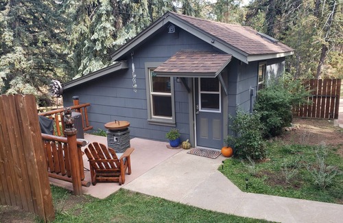 Cascade-Chipita Park Cabin | Ideal Mountain Cabin Retreat with Pool and Kitchen Access