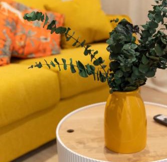 Cite Apartment | Top-Rated Stay at Thomas Price Appart – Pet & Child Friendly