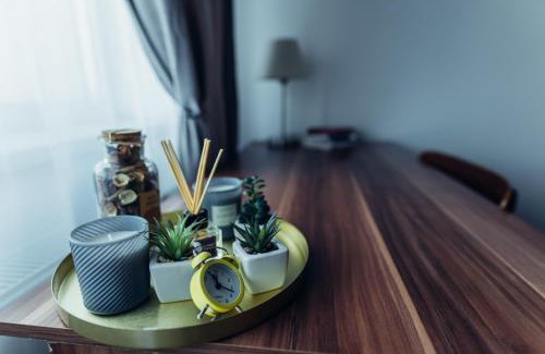 Cluj-Napoca Apartment | Stylish Thome Hoia Studio with Spa & Child-Friendly Amenities