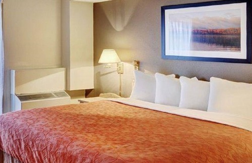 Thompson Hotel | Budget-Friendly Stay at Thompson's Best Value Inn & Suites