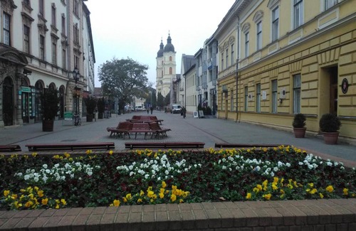 Nyiregyhaza Apartment | Thomylee Apartman: Guest Rated 9/10 & Pet Friendly Retreat