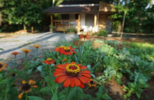Ban Wang Hom House | Cozy Thong Tiny House - Child Friendly & Highly Rated Stay