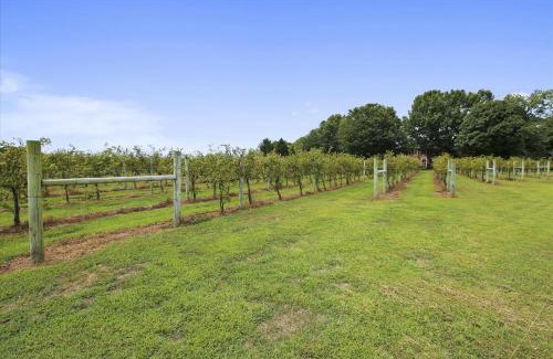 Chestertown House | Thornton
