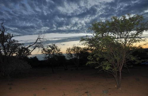 Potchefstroom Cabin | Comfortable Thorntree Lodge: Family-Friendly & Accessible