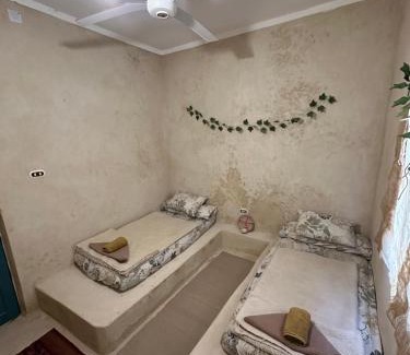 Siwa House | Thraa - ثراء: Guest Rated 10/10, Family & Pet Friendly