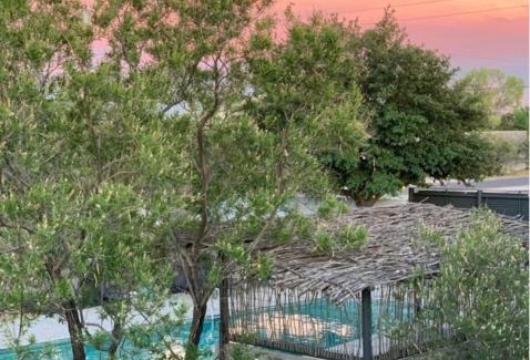 Marfa Hotel | Cozy Thunderbird Hotel: Pet-Friendly with Oceanfront Views