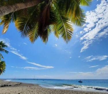 Le Carbet House | Discover Ti Sicriers Carbet: Family and Pet Friendly Stay