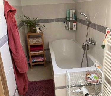 Skastice House | Tiché podkroví 4 km od Kroměříže