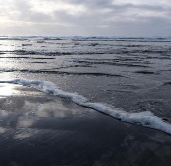 Ocean Shores Ski Chalet | Relax at Tidal House 1 - Guest Rated with Comfort