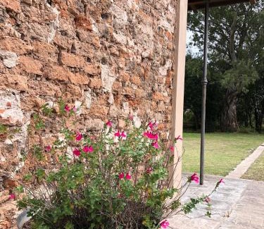 La Cumbre Apartment | Tierra Aparts