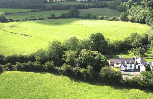 Macroom Bed & Breakfast | Pet-Friendly Bed and Breakfasts in Ireland with Great Reviews