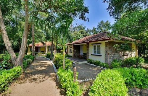 Tala Resort | Discover Tiger Trails Resort with Oceanfront Views & More