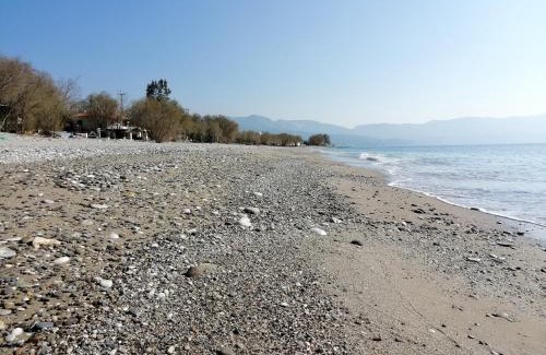Kampos Marathokampou Apartment | Beachfront Tiki Rooms - Guest Rated 9.5 with Ocean Views
