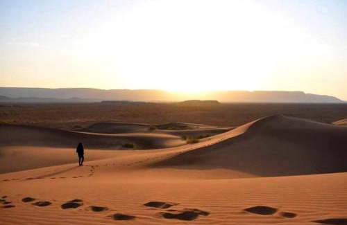 Zaouia De Sidi El Mokhtar Ben Ali Other | Discover Tikida Camp by Tinfou: Family-Friendly Retreat