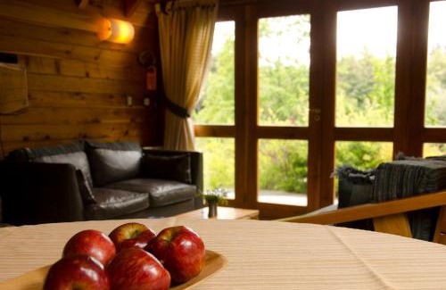 Puerto Manzano Cabin | Experience Tillka - Casas de Montaña with Ocean Views