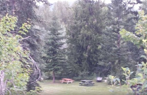 Armstrong RV Rental | Tim's Campsite by the River