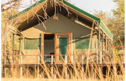 Thorny Bush Game Reserve Cabin | Explore Timbavati Safari Lodge with Oceanfront Views