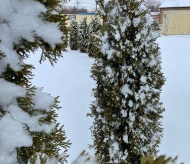 Clinton Hotel | Cozy Timber Motel with Kitchen - Guest Rated 8/10