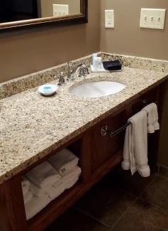 Grand Rapids Hotel | Timberlake Lodge: Guest Rated 9/10 with Pet-Friendly Comfort