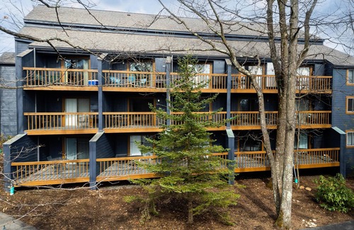 Wintergreen Condo | Timbers Studio 38: Cozy Retreat with Lake Views & Spa