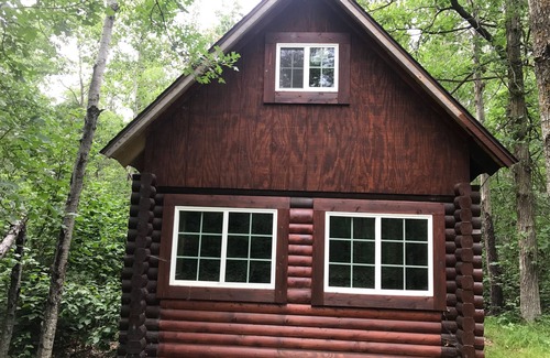 Park Rapids Cabin | Cozy TimberView Cabin: Pet-Friendly Retreat in Nature