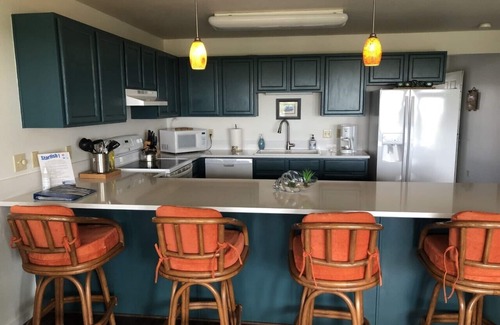 Long Beach Condo | Discover Wings Over Willipa: Ideal Weekend Getaway!