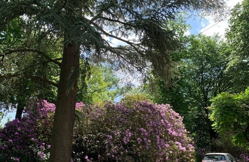 La Hulpe Villa | Timeless Villa with Grand Garden near Brussels
