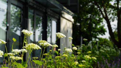 Hueckelhoven Hotel | Unique Stay at TIN INN l Hückelhoven - Family Friendly Hotel