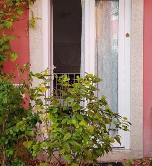 Alfama Hotel | Top-Rated Tings Lisbon: Family-Friendly with Kitchen & Breakfast