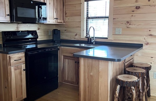 Hensonville Cabin | Tiny Cabin #3 by Windham NY Escape 'Forest View'