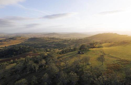 Haden House | Cozy Tiny Charlie: Family and Pet-Friendly Retreat