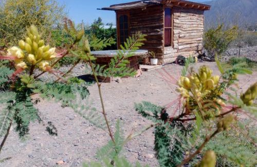 Villa Basilio Nievas Resort | Cozy Tiny Dormi de Montaña: Family & Pet Friendly Retreat