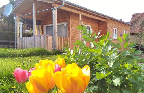 Lossburg House | Charming Casa Wendy: Child-Friendly Retreat with Great Reviews