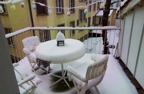 St. Gallen Apartment | Cozy Flat with Family and Pet-Friendly Amenities