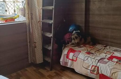 Mira Bhayandar Apartment | Cozy Flat in Hassle-Free Community - Pet & Child Friendly
