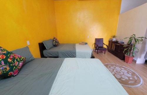 Cat Hai House | Kid-Friendly Retreat at Tiny House Cat Ba - Rated 9.6/10