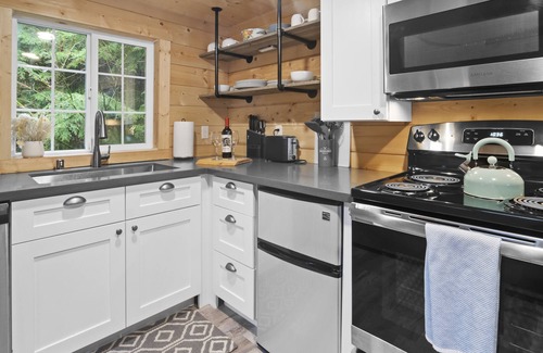 Ashford Cabin | Cozy Tiny Home A Near Mt. Rainier with Firepit & Spa