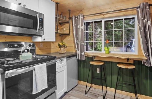 Ashford Cabin | Cozy Tiny Home A Near Mt. Rainier with Firepit & Spa