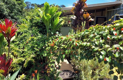 Honokaa Condo | Tiny home Container Nature Homestead Farm Retreat