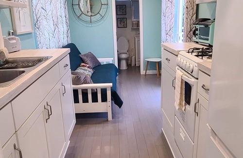 Valley Center Cottage | Cozy Tiny Home in Bulldog Paradise with Lake View & Puppy Love