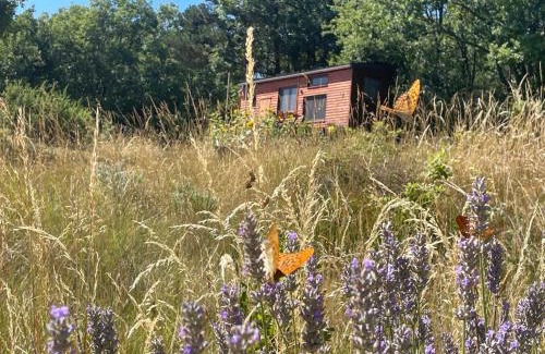 Cubieres-sur-Cinoble Ski Chalet | Tiny House en bois