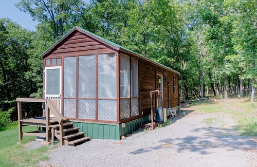 Hulbert House | Cozy Tiny House in the Woods - Pet-Friendly Retreat