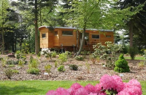 Emstek Apartment | Enchanting Tiny House Retreat in Nature - Guest Rated 9/10