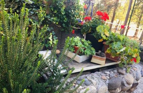 Cascinetta House | Cozy Tiny House Near Lake Maggiore with Private Beach