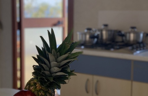 Kounelion House | Cozy Tiny House Lyrides by the Cretan Sea - Pet Friendly Stay