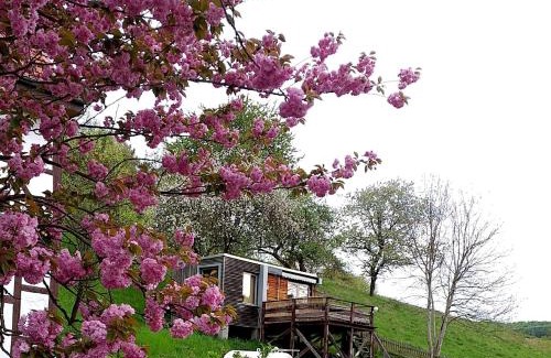 Iba Apartment | Cozy Tiny House with Climate Control in Serene Location