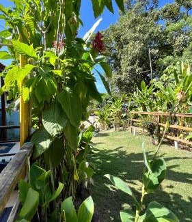 Vila dos Remedios House | Charming Oceanfront Beach House CONCEIÇÃO - Guest Rated 9.5